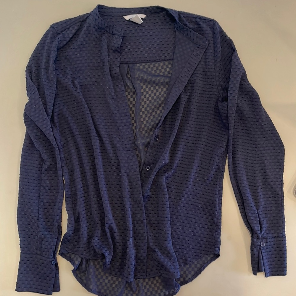 H&M Sheer Blue Blouse